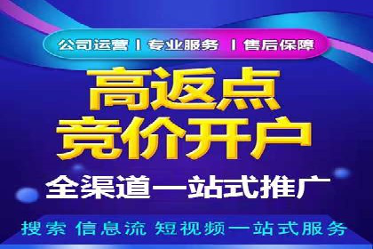 SEM广告投放案例：揭秘高转化率秘诀