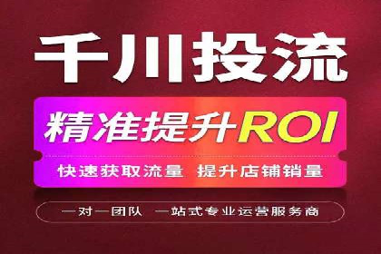 成功运用SEM服务实现品牌快速成长的案例